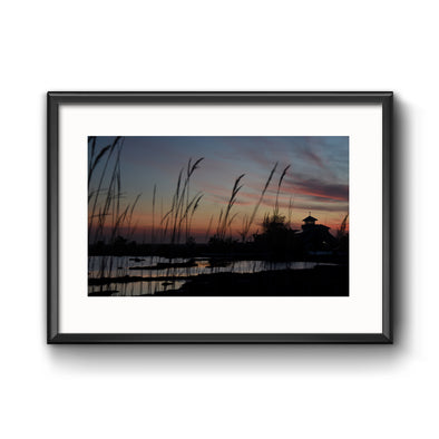 "Stone Harbor Wetlands", Framed Print with Mat